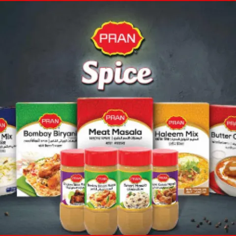 PRAN Spice