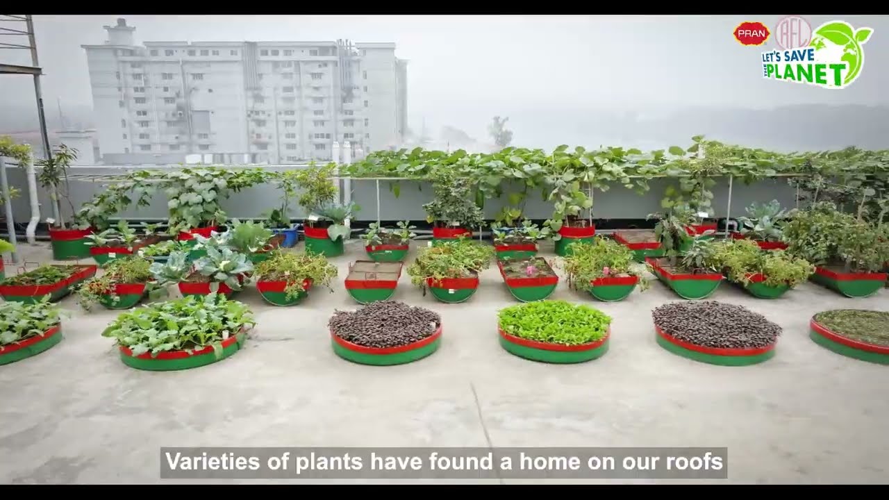 Embedded thumbnail for Rooftop Gardening | PRAN RFL Group